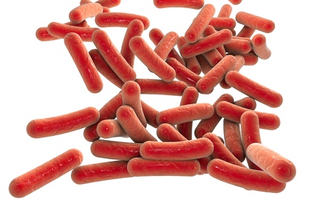 3D illustration of rod-shaped bacteria isolated on white background. Realistic illustration of...