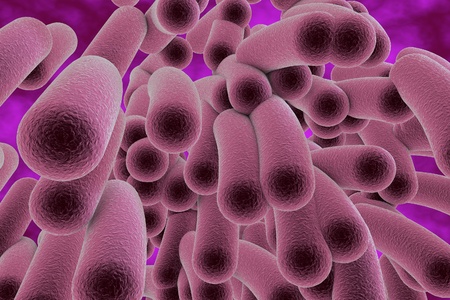3D illustration of rod-shaped bacteria. Realistic illustration of microbesの写真素材