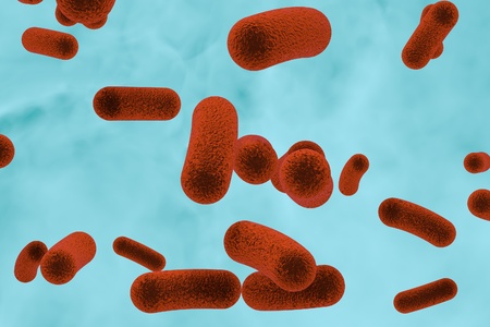 3D illustration of rod-shaped bacteria. Realistic illustration of microbesの写真素材