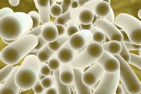 Bacterial infection. Rod-shaped bacteria, close-up view. 3D illustrationの写真素材