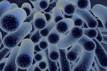 Bacterial infection. Rod-shaped bacteria, close-up view. 3D illustrationの写真素材
