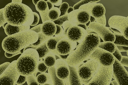 Bacterial infection. Rod-shaped bacteria, close-up view. 3D illustrationの写真素材