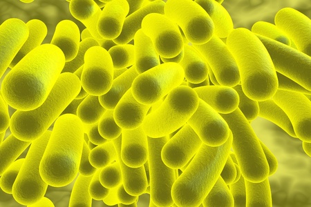Bacterial infection. Rod-shaped bacteria, close-up view. 3D illustrationの写真素材