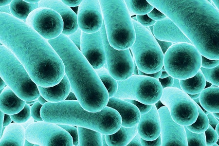 Bacterial infection. Rod-shaped bacteria, close-up view. 3D illustrationの写真素材