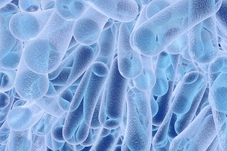 Bacterial infection. Rod-shaped bacteria, close-up view. 3D illustrationの写真素材