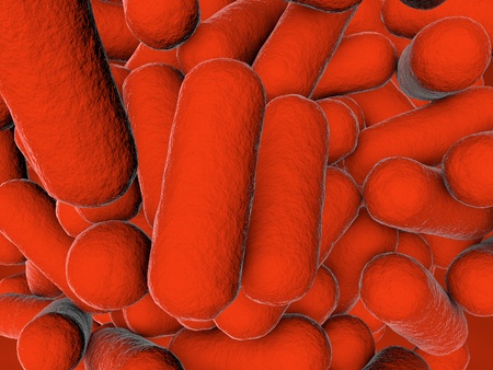Bacterial infection. Rod-shaped bacteria, close-up view. 3D illustrationの写真素材