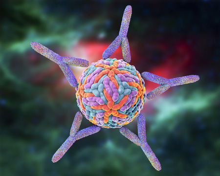 Antibodies attacking Zika virus. Immunoglobulins and virus, 3d illustration. Can be used to illustrate principles of diagnostics or antiviral immunityの写真素材