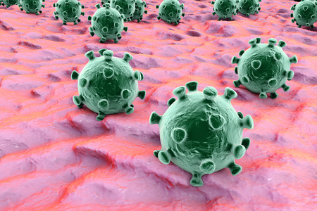 Viruses on the surface of skin or mucous membrane, 3D illustrationの写真素材