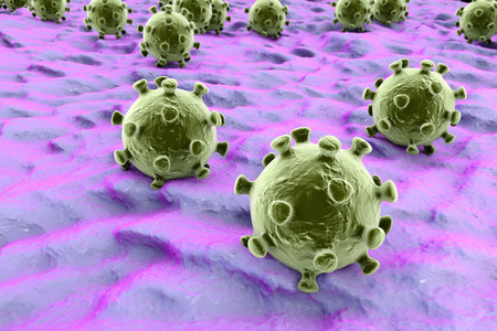 Viruses on the surface of skin or mucous membrane, 3D illustration