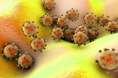 Viruses on the surface of skin or mucous membrane, 3D illustrationの写真素材