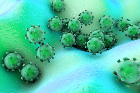 Viruses on the surface of skin or mucous membrane, 3D illustrationの写真素材