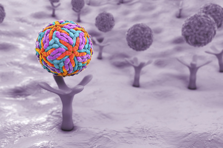 Zika virus attaching to AXL receptor on the surface of a neural stem cell, 3D illustration. Zika virus causes Zika fever leading to microcephaly in newbornsの写真素材