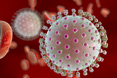 Zika viruses in blood with red blood cells, 3D illustration. Viruses which cause Zika fever found in Brazil and other tropical countries. Zika fever in pregnant women leads to microcephaly in fetusの写真素材