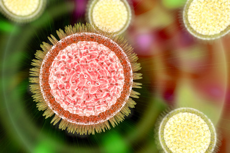 Zika virus, a virus which causes Zika fever found in Brazil. Illustration shows presence of inner protein core named capsid and outer lipoprotein envelope with spikes. 3D illustrationの写真素材