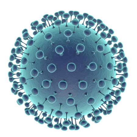 Zika virus, a virus which causes Zika fever found in Brazil. Illustration shows presence of inner protein core named capsid and outer lipoprotein envelope with spikes. 3D illustrationの写真素材