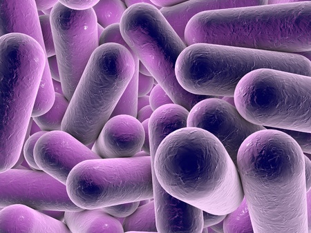 Bacterial infection. Rod-shaped bacteria, close-up view. 3D illustrationの写真素材