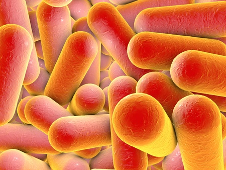 Bacterial infection. Rod-shaped bacteria, close-up view. 3D illustrationの写真素材