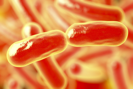 Bacterial infection. Rod-shaped bacteria, close-up view. 3D illustrationの写真素材