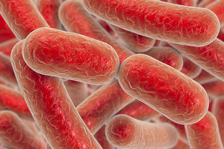 Bacterial infection. Rod-shaped bacteria, close-up view. 3D illustrationの写真素材