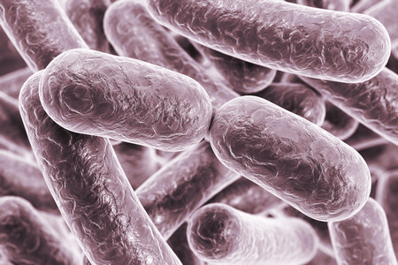 Bacterial infection. Rod-shaped bacteria, close-up view. 3D illustrationの写真素材