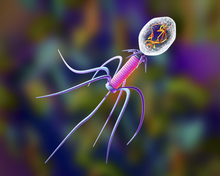 Bacteriophage, a virus which infects bacteria and can be used as alternative to antibiotic...