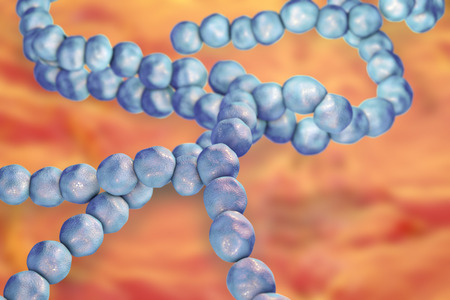 Streptococcus mutans bacteria, gram-positive cocci which cause dental caries, 3D illustration