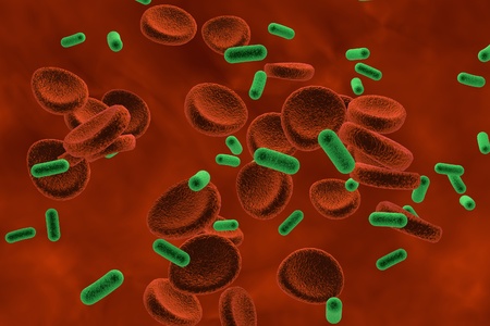 View inside blood vessel in patient with bacteriemia. 3D illustration. Bacteria in blood