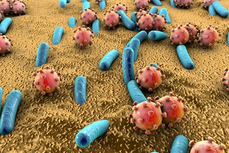 Microbes of different shapes. Rod-shaped and spherical bacteria and viruses isolated on white background. 3D illustratinの写真素材