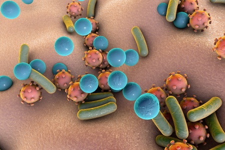 Microbes of different shapes. Rod-shaped and spherical bacteria and viruses isolated on white background. 3D illustratinの写真素材