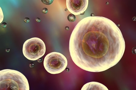Background with cells. Human or animal cells on colorful background, 3D illustration