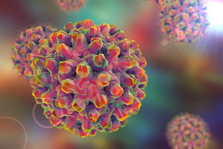 Low-polygonal model of virus. Hepatitis B virus. 3D illustration