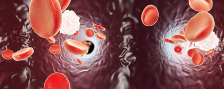 Blood vessel with red blood cells and white blood cells, spherical 360n degree panorama. 3D...