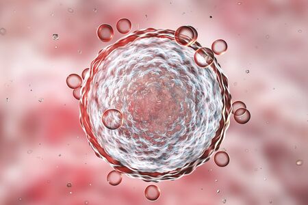 Human female egg cell on colorful background. 3D illustrationの写真素材