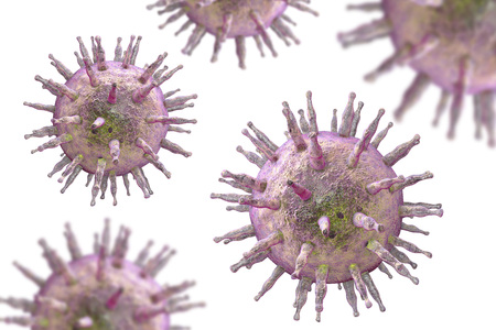 Epstein-Barr virus EBV, a herpes virus which causes infectious mononucleosis and Burkitt's lymphoma...