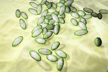Plague bacteria Yersinia pestis, 3D illustration. Gram-negative bacteria with bipolar staining which...