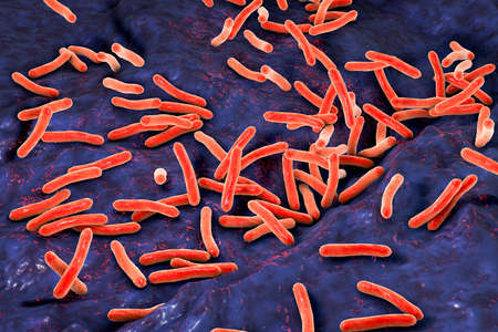 Mycobacterium tuberculosis bacteria inside human body, close-up view. 3D illustration