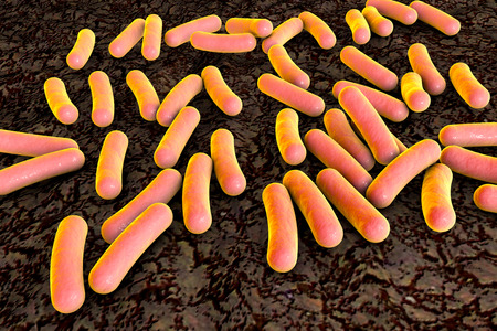 Bacterium Pseudomonas aeruginosa, antibiotic-resistant nosocomial bacterium, 3D illustration....