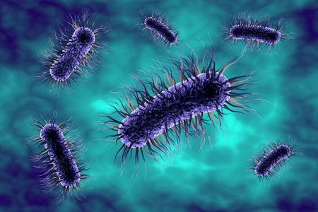 Escherichia coli bacterium, 3D illustration. Gram-negative bacterium with peritrichous flagella...