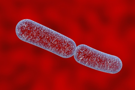 Klebsiella bacteria, rod-shaped diplobacilli which cause pulmonary and other infections. 3D...