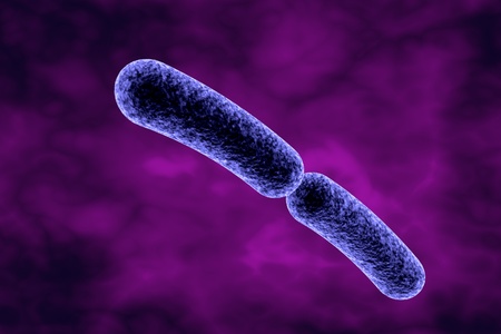 Klebsiella bacteria, rod-shaped diplobacilli which cause pulmonary and other infections. 3D...