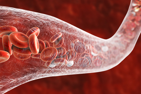 Blood vessel with flowing blood cells, 3D illustration