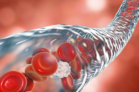 Blood vessel with flowing blood cells, 3D illustrationの写真素材