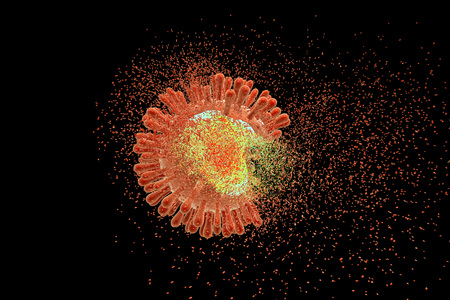 Destruction of Human Immunodeficiency Virus HIV , AIDs virus isolated on black background, 3D illustration. Concept for HIV treatment and preventionの写真素材