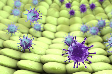 Viruses infecting human cells, 3D illustration. Conceptual image for pathogenesis of virus infectionの写真素材