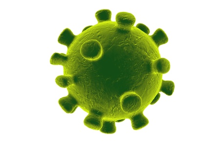 3D illustration of Coronavirus isolated on white background, virus which causes SARS and MERS, Middle East Respiratory Syndromeの写真素材