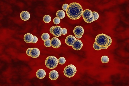Enterovirus on dark background, close-up view, 3D illustrationの写真素材