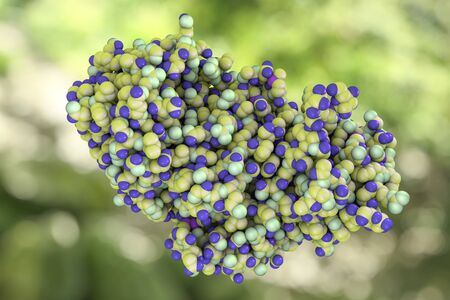 Molecule of ricin, 3D illustration, a highly toxic protein produced in seeds of castor oil plant Ricinus communisの写真素材