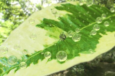 Green leaf of a ficus with water droplets, close-up view, 3D illustration