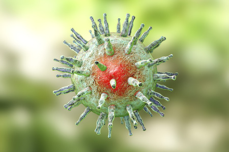 Epstein-Barr virus EBV, a herpes virus which causes infectious mononucleosis and Burkitts lymphoma. 3D illustrationの写真素材