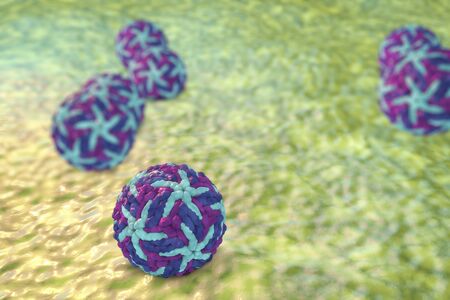 Zika virus, 3D illustration. A virus which causes Zika fever found in Brazil and other tropical...